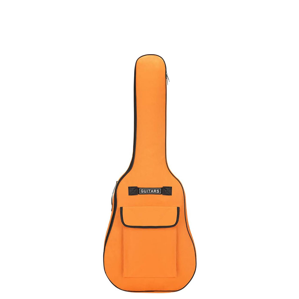 Acoustic Guitar Case